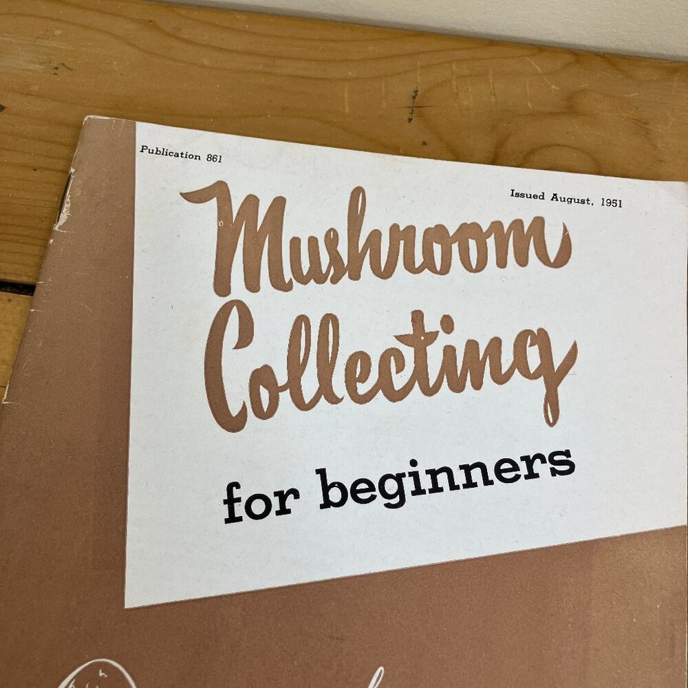 Mushroom Collecting for Beginners Vintage Dept of Agriculture J Walton Groves - Picture 2 of 5